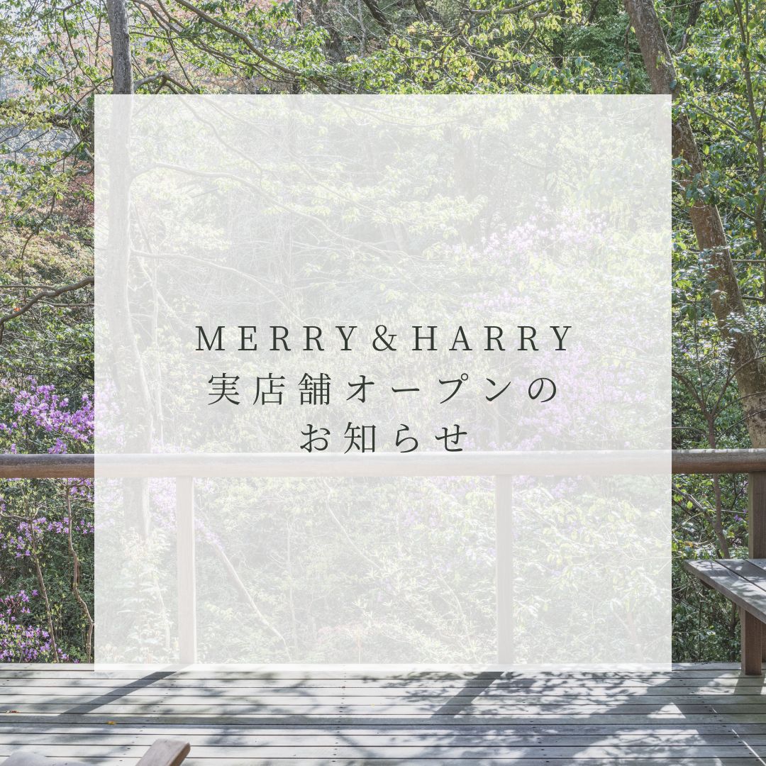 Merry&Harry 実店舗オープンのお知らせ!
