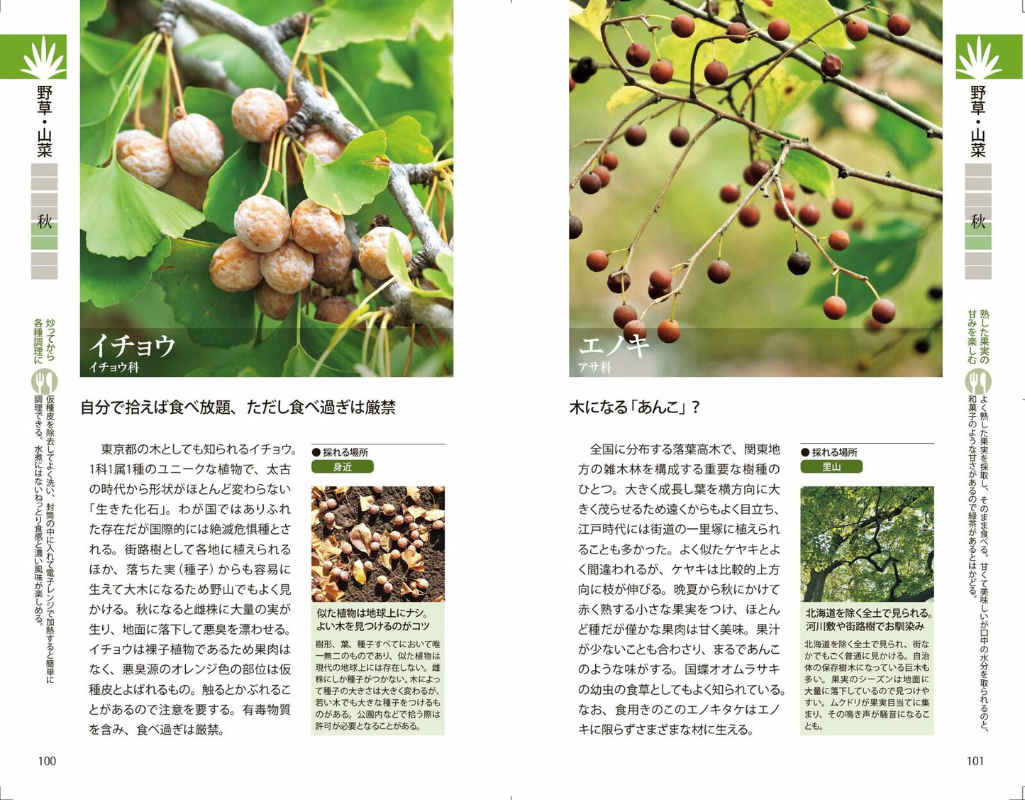 野草・山菜・きのこ図鑑