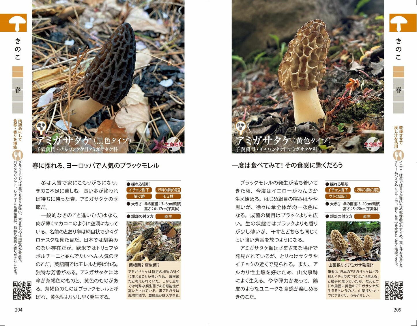 野草・山菜・きのこ図鑑