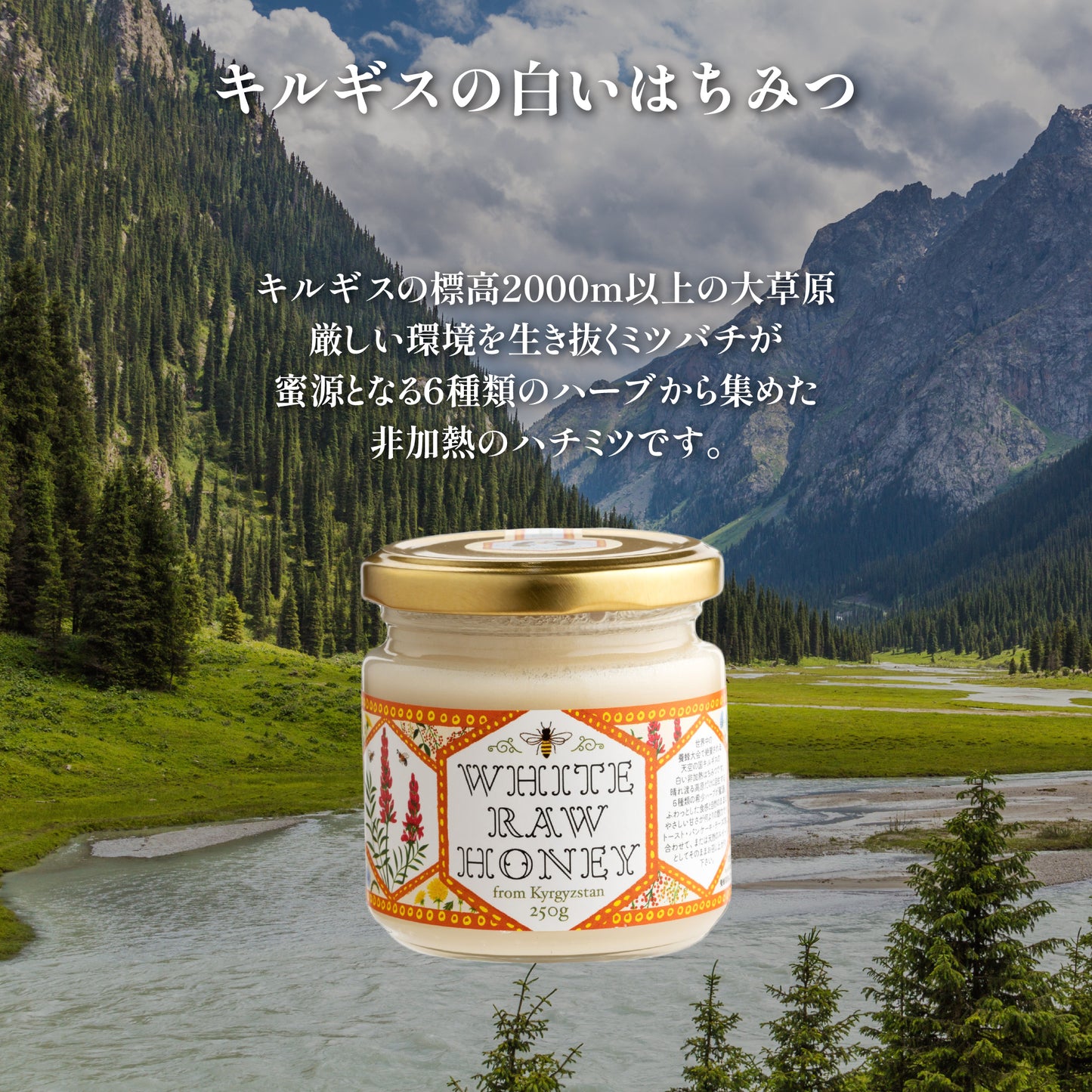 キルギスで採れた天然非加熱の白いはちみつ