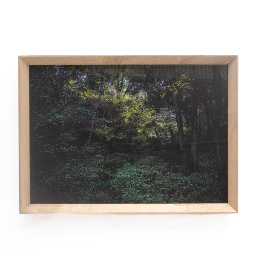 職人が作った、無垢の桐の本額縁