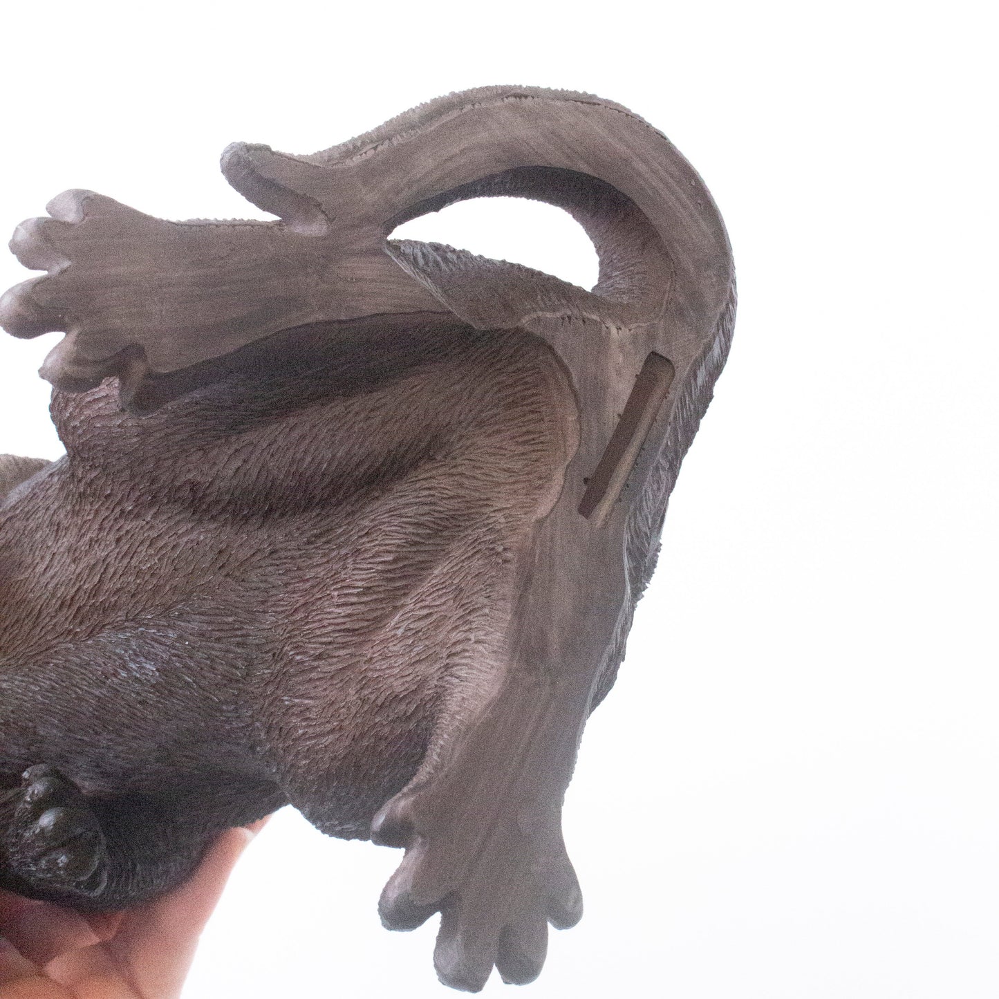 つぶらな瞳の、リアルなカワウソ貯金箱