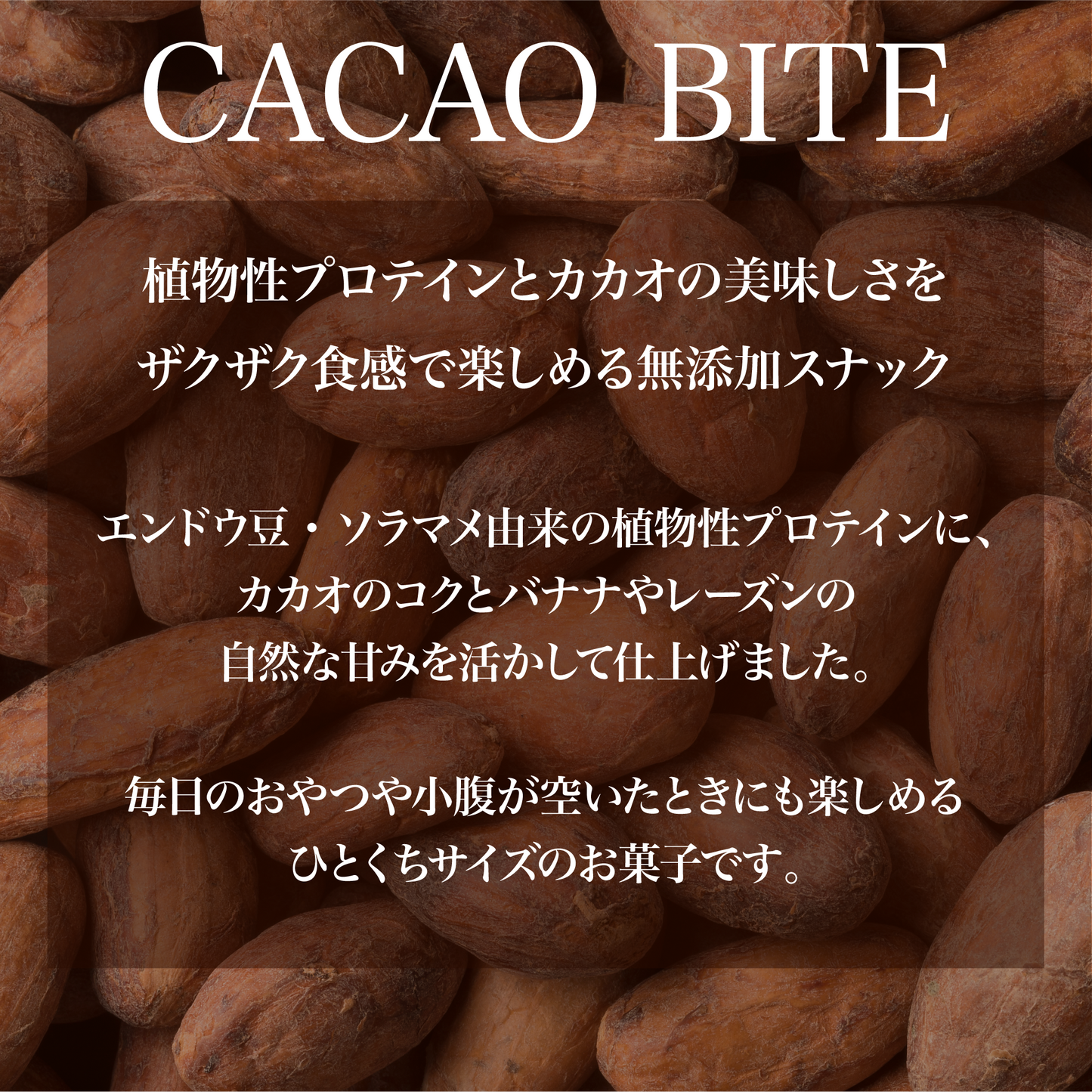 CACAO BITE カカオと有機プロテインのクランチ 30g