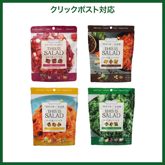 【全4種お試し】 THIS IS SALAD