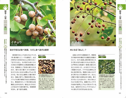 野草・山菜・きのこ図鑑