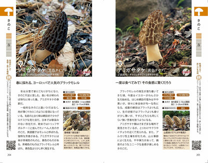 野草・山菜・きのこ図鑑