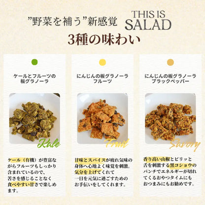 THIS IS SALAD にんじんの板グラノーラ フルーツ