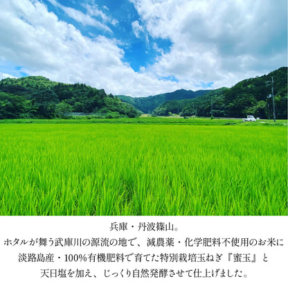 無添加 玉ねぎ麹 醤油麹 セット