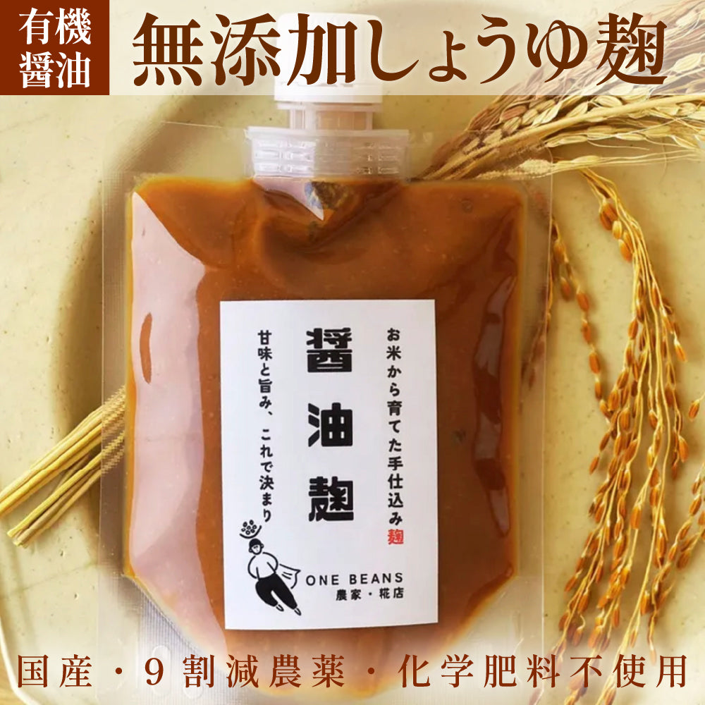 無添加 玉ねぎ麹 醤油麹 セット