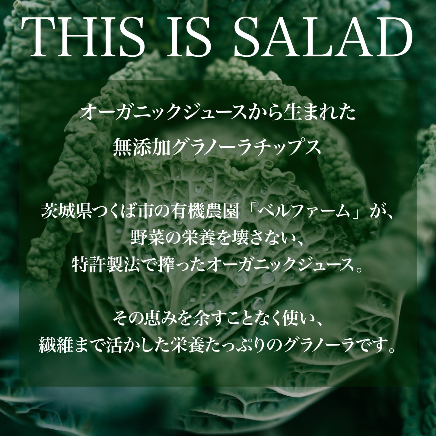 THIS IS SALAD ケールとフルーツの板グラノーラ