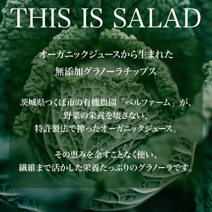 THIS IS SALAD ケールとフルーツの板グラノーラ