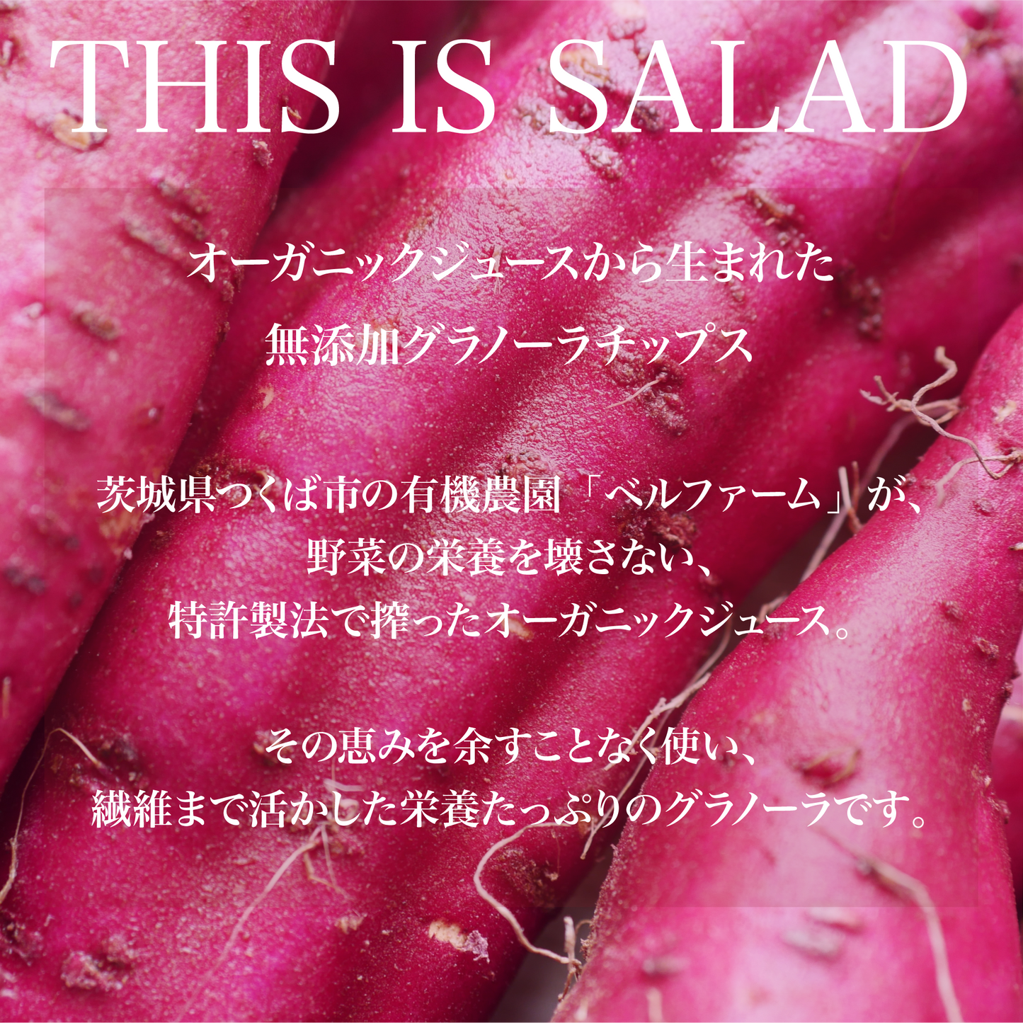 THIS IS SALAD さつまいもと麹の蜜クランチ 40g