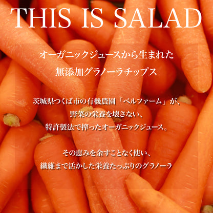 THIS IS SALAD にんじんの板グラノーラ フルーツ 80g